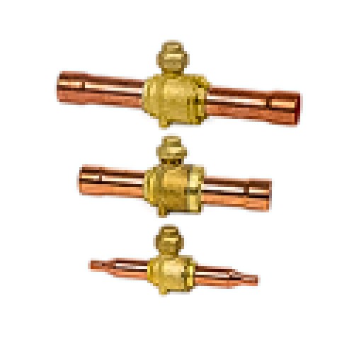 Robineti